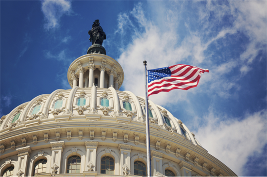 Capitol Flags