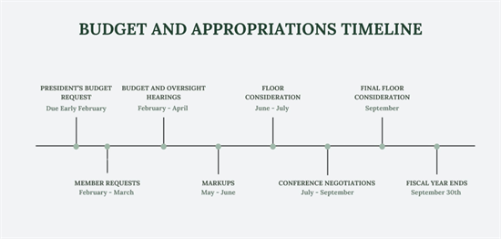 Timeline